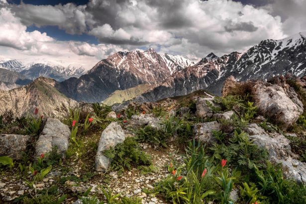 uzbekistan nature