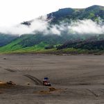 2026-yildan boshlab tabiatga zarar yetkazish uchun kompensatsiya to‘lovlaridan ozod qilish bilan bog‘liq qonunchilik hujjatlari o‘z kuchini yo‘qotadi