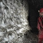 O‘rgimchak to‘ri