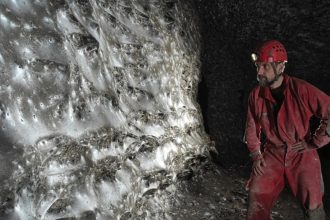 O‘rgimchak to‘ri