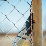 Polsha va Belerus chegarasi