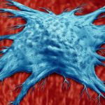 qarishni sekinlashtiruvchi gen