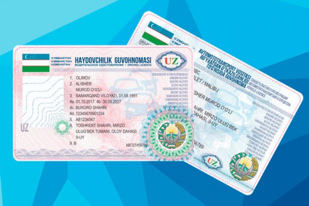 Haydovchilik guvohnomasi