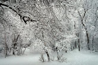 Qishda qanday ob-havo kuzatiladi