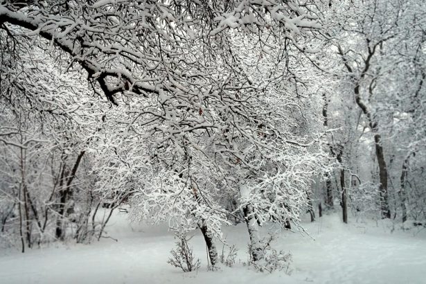 Qishda qanday ob-havo kuzatiladi