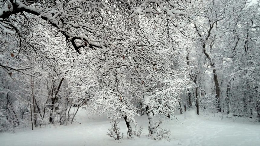 Qishda qanday ob-havo kuzatiladi