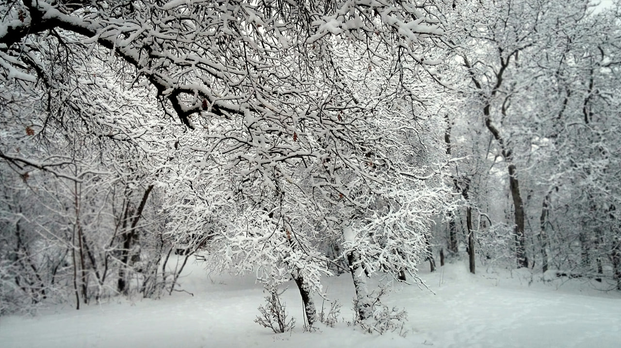 Qishda qanday ob-havo kuzatiladi