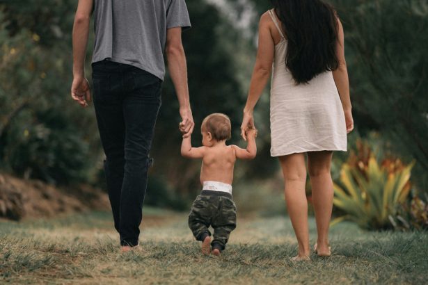 "Shajara" axborot tizimi