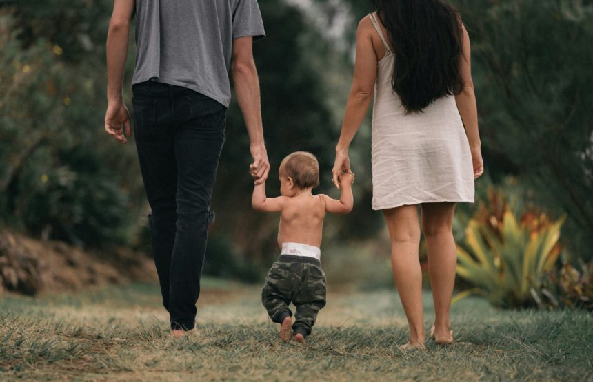 "Shajara" axborot tizimi