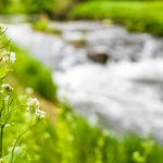 Toshkentda ekologik vaziyatni yaxshilash bo‘yicha komissiya tuziladi