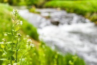 Toshkentda ekologik vaziyatni yaxshilash bo‘yicha komissiya tuziladi