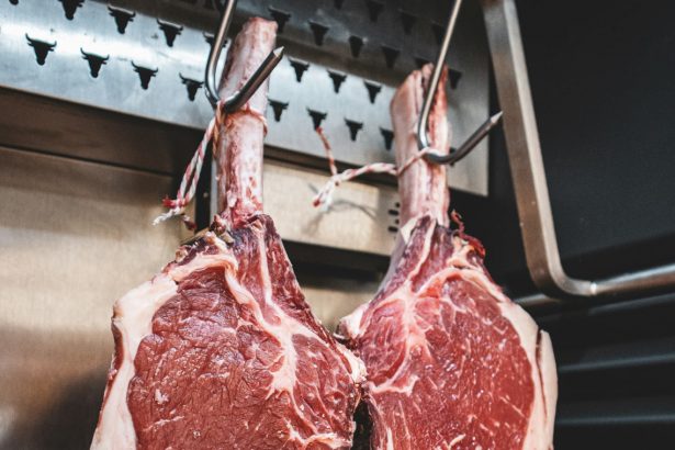 Indoneziyada it va mushuk go‘shti savdosini taqiqlandi