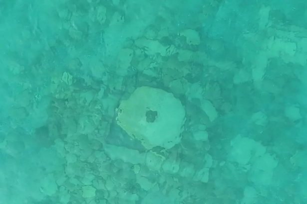 Issiqko‘l ko‘l tubidan O‘rta asrga oid Ipak yo‘li shahri topildi