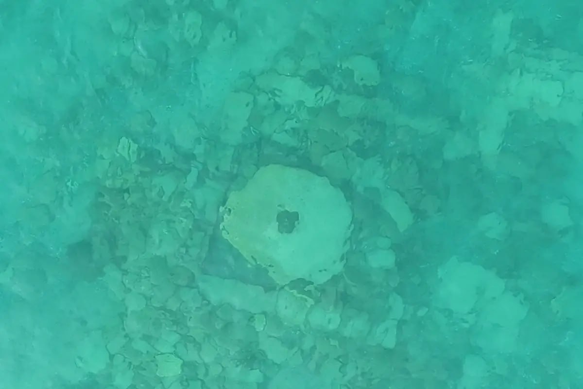 Issiqko‘l ko‘l tubidan O‘rta asrga oid Ipak yo‘li shahri topildi