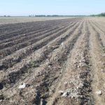 Qishloq xo‘jaligiga mo‘ljallangan yerlarga normativ qiymat belgilash tartibi tasdiqlandi