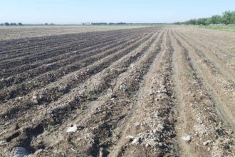 Qishloq xo‘jaligiga mo‘ljallangan yerlarga normativ qiymat belgilash tartibi tasdiqlandi