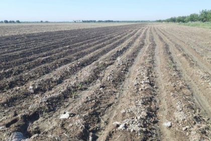 Qishloq xo‘jaligiga mo‘ljallangan yerlarga normativ qiymat belgilash tartibi tasdiqlandi