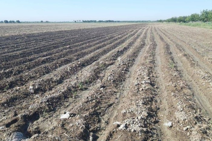 Qishloq xo‘jaligiga mo‘ljallangan yerlarga normativ qiymat belgilash tartibi tasdiqlandi