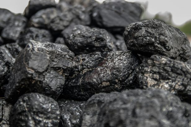 Andijonda imtiyozli ko‘mirni noqonuniy sotgan shaxslar ushlandi