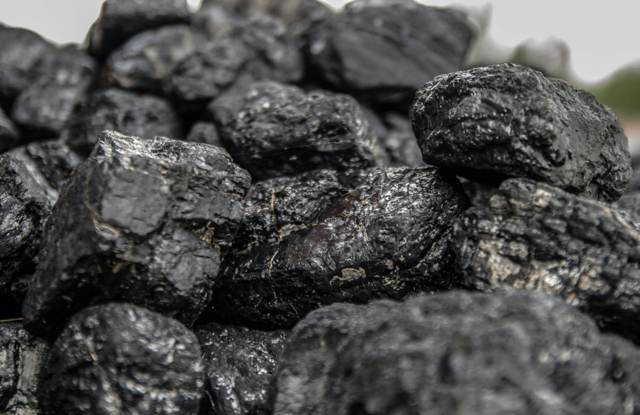 Andijonda imtiyozli ko‘mirni noqonuniy sotgan shaxslar ushlandi