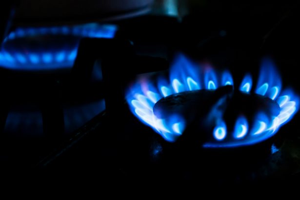 Toshkentning ayrim tumanlarida gaz ta’minoti vaqtincha cheklanadi