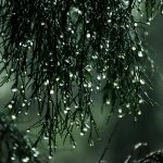 12-dekabr kuni qanday ob-havo kuzatiladi