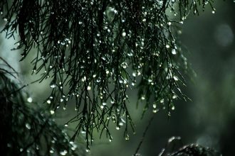 12-dekabr kuni qanday ob-havo kuzatiladi