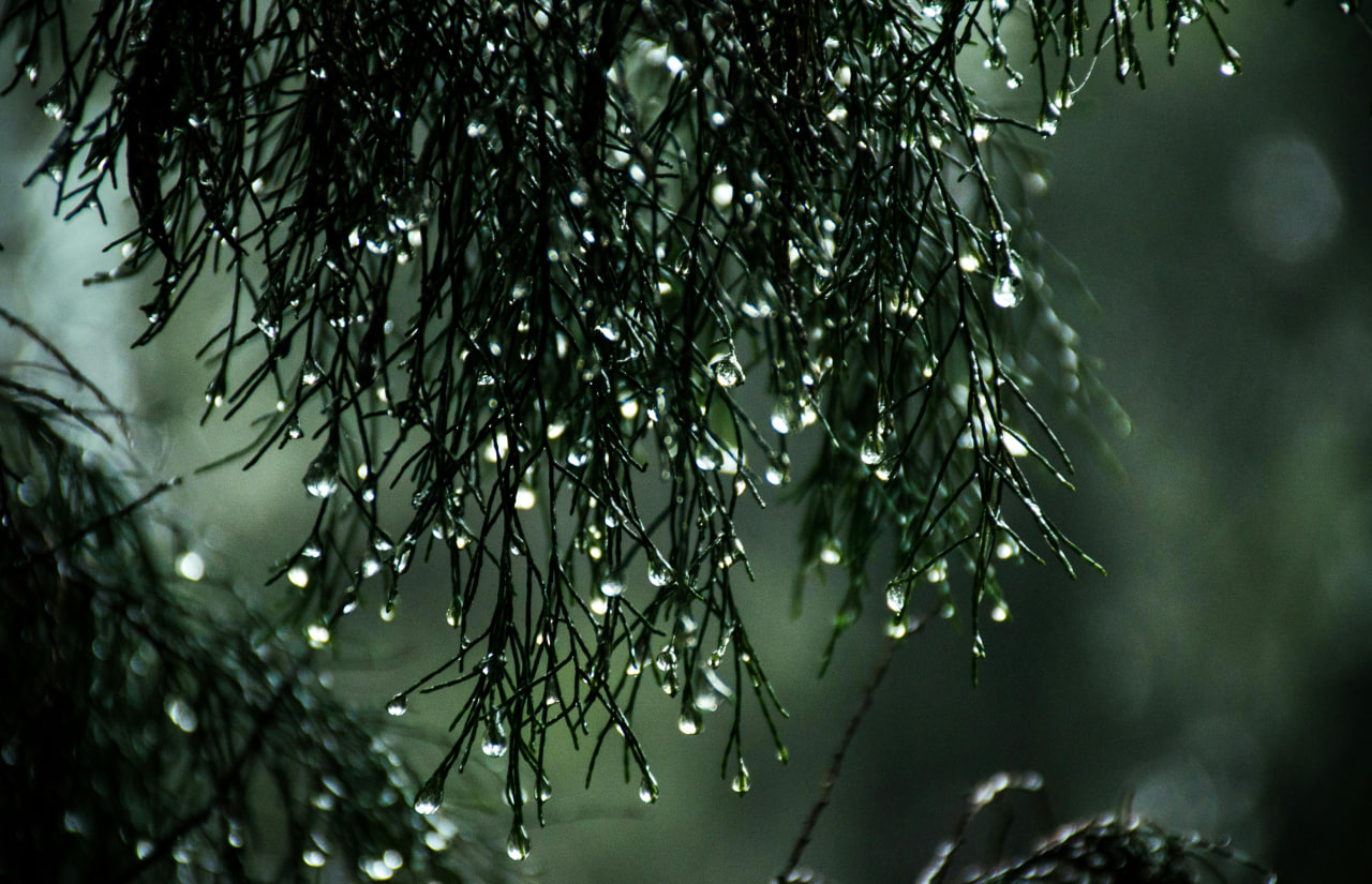 12-dekabr kuni qanday ob-havo kuzatiladi