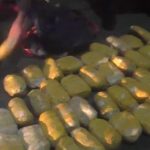 Sirdaryo va Toshkent shaharlarida giyohvandlik moddalarining noqonuniy savdosiga chek qo‘yildi