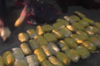 Sirdaryo va Toshkent shaharlarida giyohvandlik moddalarining noqonuniy savdosiga chek qo‘yildi