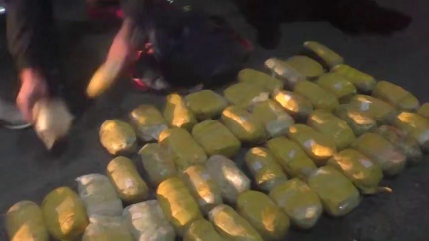 Sirdaryo va Toshkent shaharlarida giyohvandlik moddalarining noqonuniy savdosiga chek qo‘yildi