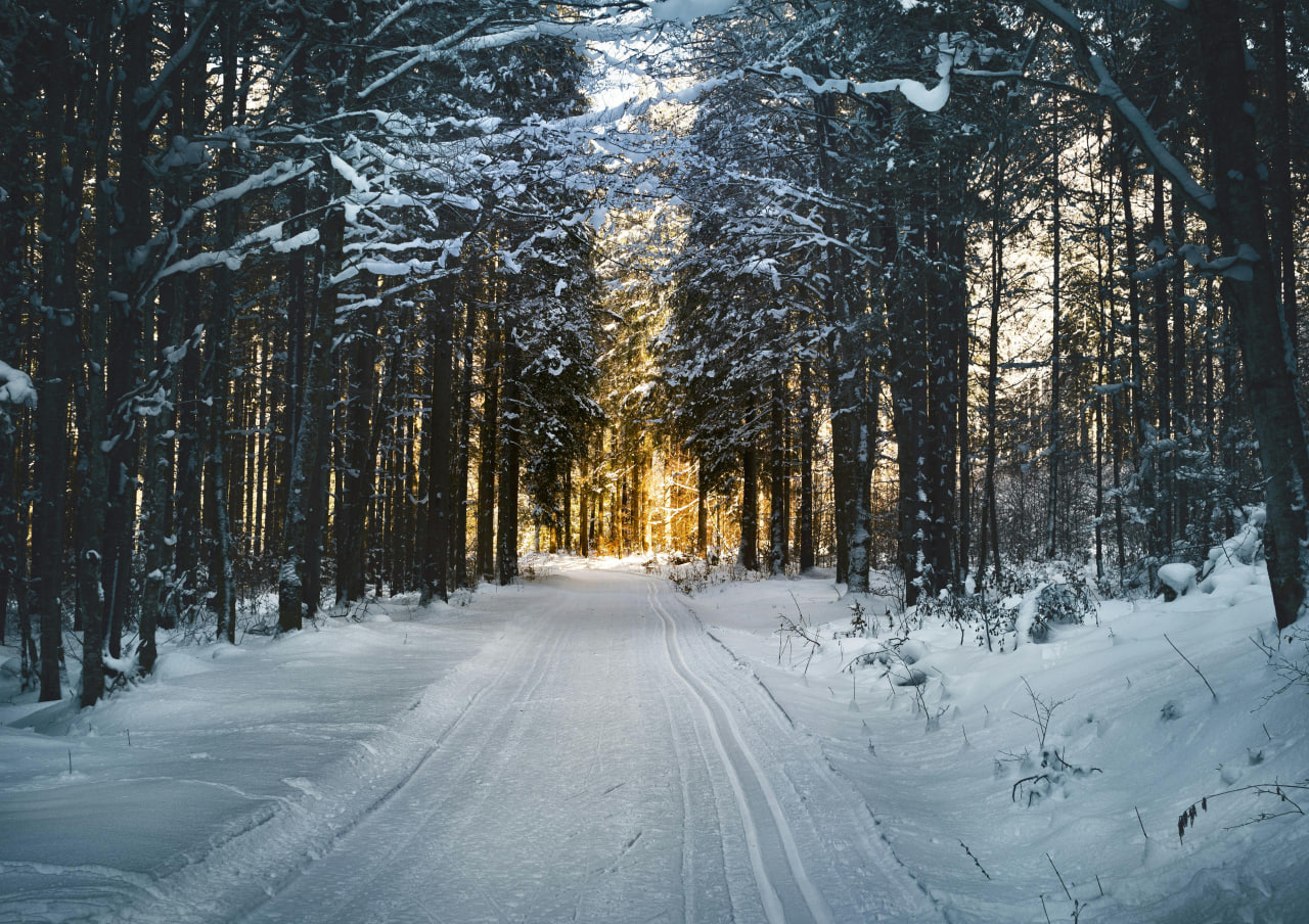 13-dekabr kuni qanday ob-havo kuzatiladi