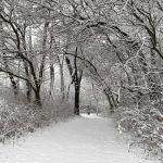 18-dekabr kuni qanday ob-havo kuzatiladi