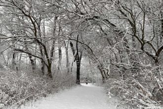 18-dekabr kuni qanday ob-havo kuzatiladi