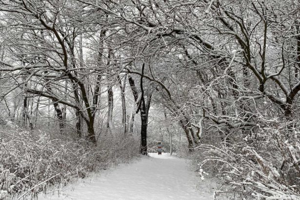18-dekabr kuni qanday ob-havo kuzatiladi
