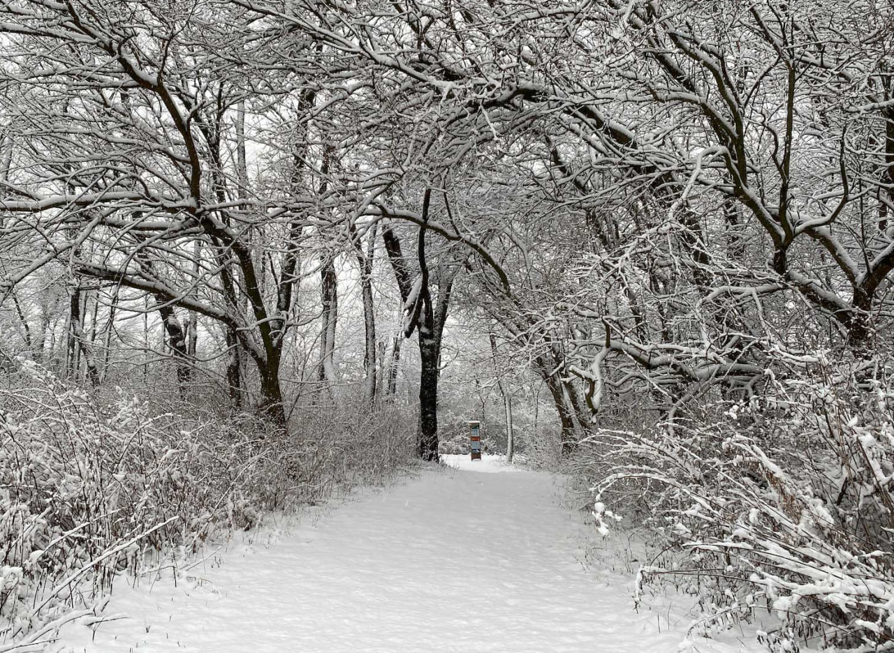 18-dekabr kuni qanday ob-havo kuzatiladi