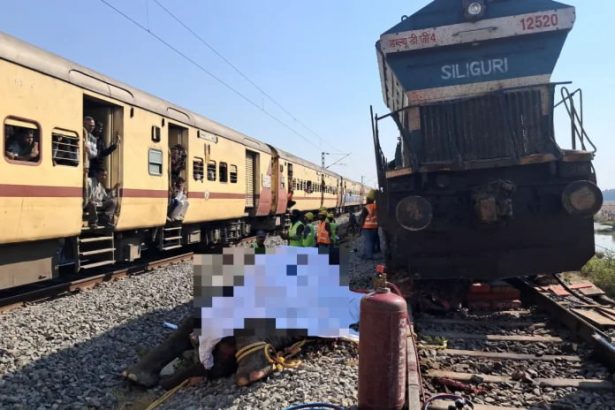 Hindistonda yo‘lovchi poyezd fillar to‘dasini urib ketdi