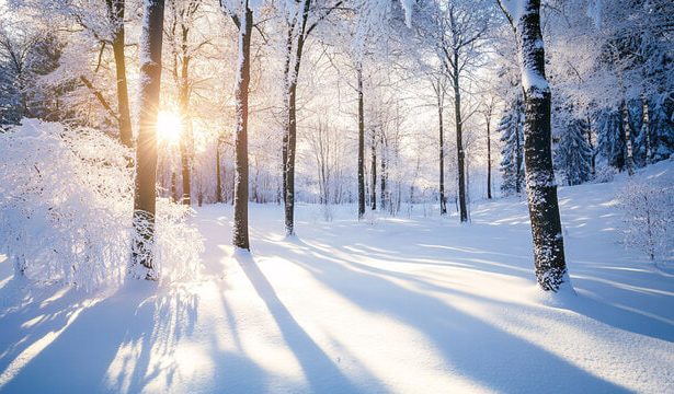 23-dekabr kuni sovuq va tumanli ob-havo kuzatiladi