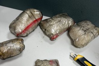 Rossiyadan olib kelingan 2,3 kg narkotik moddalar qo‘lga olindi