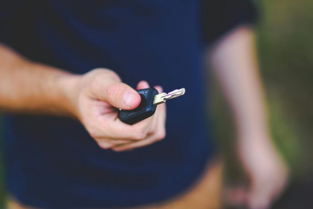 Ijara xizmatlari hajmining qariyb yarmi avtomobillar ijarasiga to‘g‘ri keldi