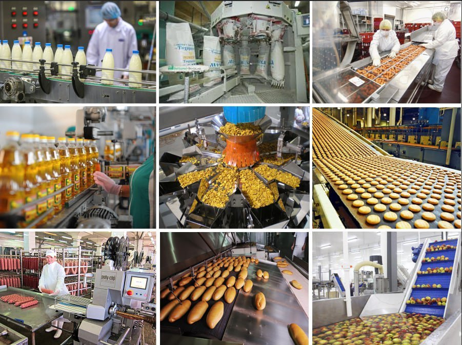 Oziq-ovqat mahsulotlari ishlab chiqarishda Toshkent shahri yetakchi bo‘ldi