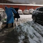 Toshkentda qorni tozalashga 1000 dan ortiq odam jalb qilindi