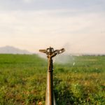 Sug‘oriladigan yerlarning 80 foizida suvni tejovchi texnologiyalar joriy etiladi