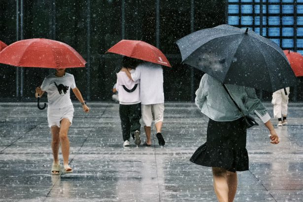 10-fevralda qanday ob-havo kuzatiladi