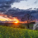 11-fevral kuni qanday ob-havo kuzatiladi