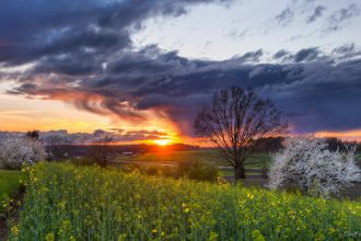11-fevral kuni qanday ob-havo kuzatiladi