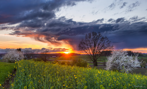 11-fevral kuni qanday ob-havo kuzatiladi