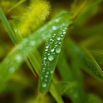 3-mart kuni qanday ob-havo kuzatiladi