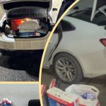 Toshkent va Namanganda noqonuniy tamaki savdosi fosh etildi