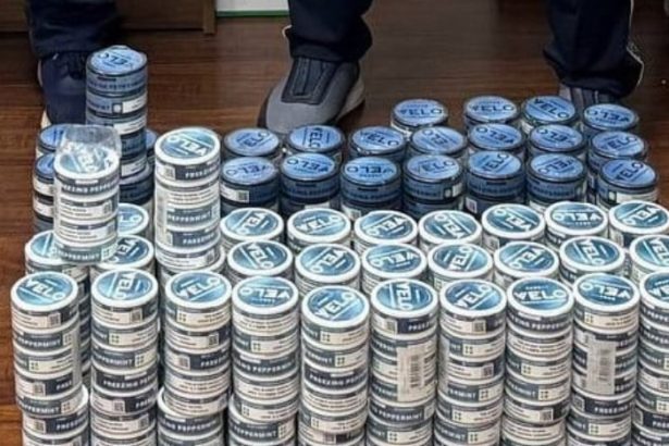 Toshkentda noqonuniy tamaki savdosi fosh etildi